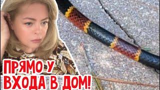 Не ходите дети во Флориду гулять!!!  #натальяфальконе #сша #usa