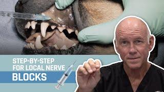 Veterinary Dentistry -  Nerve Blocks for Oral Surgery for Dogs and Cats
