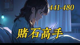 《賭石高手》441-480