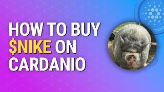 How to Buy NIKE, SNEK & HOSKY Meme Coins on Cardano