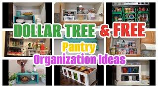 6+ DIY Dollar Tree and Free Cupboard Pantry Organization Ideas Kitchen Organization Spice Organizers