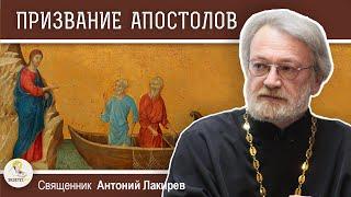 ПРИЗВАНИЕ АПОСТОЛОВ.  Священник Антоний Лакирев. Воскресное Евангелие