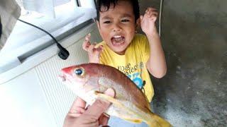 Lucu Zefa mancing ikan mata bulan dan monster bawah laut 