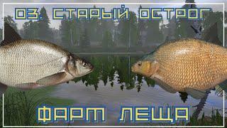 Фарм леща на оз. Старый Острог - РР4┃maXS1k