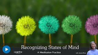 Recognizing States of Mind | Meditation with Jennie Ross | 42 Minutes