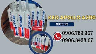 KEO SILICONE APOLLO A300 GIÁ BAO NHIÊU 1 THÙNG