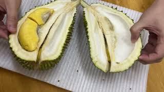 Exotic Durian - Malaysian Mao Shan Wang!  #durian #songlele