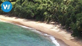 Tobago (travel-documentary from the season "Caribbean Moments")