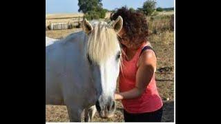 "La communication animale et le deuil" Léticia Serrano