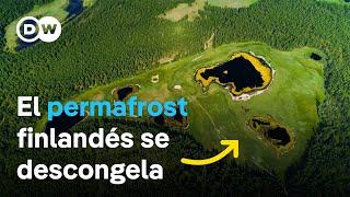 Pantanos que se derriten - ¿Cómo puede la naturaleza frenar el cambio climático? | DW Documental