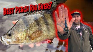 How To Catch BIG Perch On Texas Rigs!