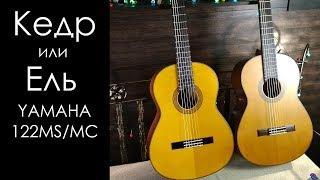 Обзор лучшей классической гитары для начинающего/ YAMAHA CG122MS & 122MC