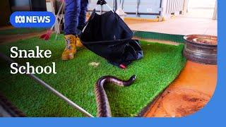 Learn how to catch a snake at TAFE | ABC NEWS