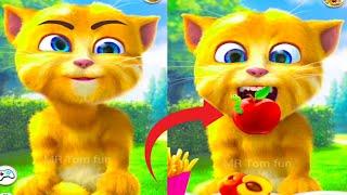 Talking Ginger Funny Videos  | talking tom | talking ginger | tom cat |