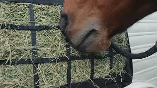 Classic Equine Moderate Hay Bag