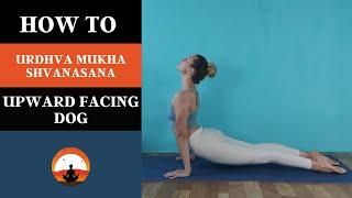 Yoga Urdhva Mukha Shvanasana Pose | How to do The Upward Facing Dog Pose | Strengthen the spine