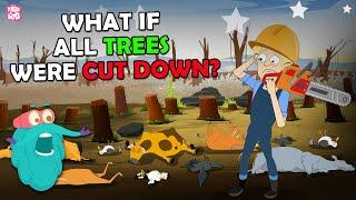 What If All Trees Were Cut Down? | Earth Without Trees | The Dr Binocs Show | Peekaboo Kidz