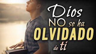 Dios no se ha olvidado de ti - Reflexiones cristianas.