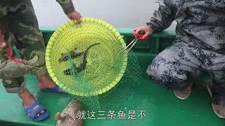 【老四赶海的作品】老四在大铁笼上挂相机，沉到海底拍到中大鱼的画面，太...