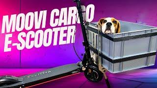  E-SCOOTER neu GEDACHT!  Cargo E-Scooter die Alternative zum Auto? #moovi #escooter #test