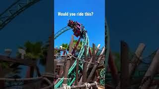 Would you ride this? Cobra’s Curse at Busch Gardens Tampa