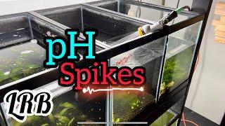 pH Spikes During Water Changes Why I use TDS Meters 4K