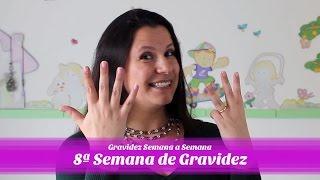 8ª Semana de gravidez