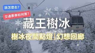 日本東北藏王｜2024最新攻略，絕美夜間樹冰點燈，期間限定幻想回廊雪車