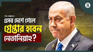 নেতানিয়াহুর বিরুদ্ধে আইসিসির গ্রেপ্তারি পরোয়ানার অর্থ কী? | Arrest Warrant | The Business Standard