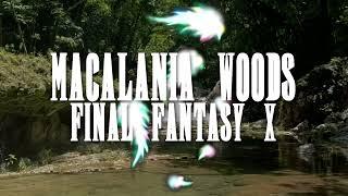 River Flowing Macalania Woods Meditation | Final Fantasy X