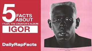 5 Facts About Tyler, The Creator's Album IGOR | DailyRapFacts