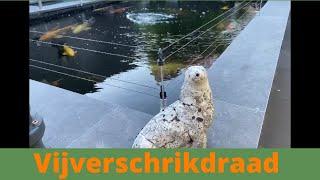 Vijverschrikdraad maakt uw vijver reiger bestendig