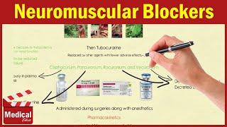 Pharmacology [ANS] 10- Neuromuscular Blockers [ Pancuronium - Rocuronium - Vecuronium ]