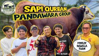 SAPI terbesar DAWALA FARM di pinang PANDAWARA GROUP 