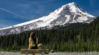 VanVentures visits the last Blockbuster and Mt. Hood