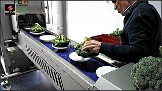 Quick Broccoli Trimming  See the Most Amazing Broccoli Florets Machine #shorts