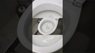 Toilet paper @ToiletteRecordsFR #shorts #short #shortfeed #yt #facts #tiktok #toiletpaper #gold