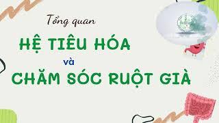 3- CHIA SẺ KIẾN THỨC SÁNG NGÀY 2 | CHỨC NĂNG, NHIỆM VỤ CỦA HỆ TIÊU HÓA VÀ CÁCH CHĂM SÓC RUỘT GIÀ / K