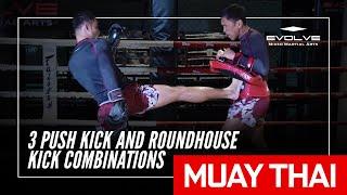 Muay Thai | Sam-A Gaiyanghadao's 3 Push Kick And Roundhouse Kick Combinations | Evolve University