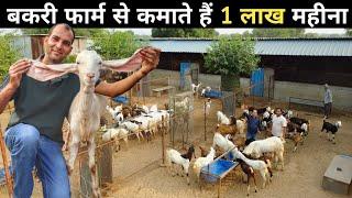 नौकरी जाने पर गाँव में शुरू किया Goat Farm | Goat Farming | Bakri Farm Business | Goat Farm Tour