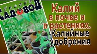 КАЛИЙ В ПОЧВЕ И В РАСТЕНИЯХ. Калийные удобрения