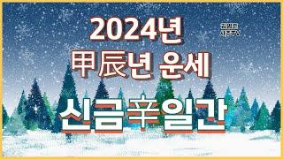 2024갑진년 운세 신금일간