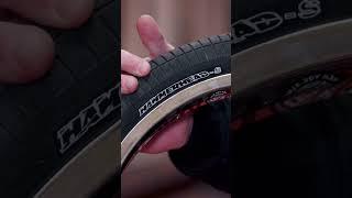 SOURCE BMX: PRODUCT INSIGHT / DEMOLITION HAMMERHEAD STREET TIRE