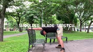 BENCH EXERCISES/MUSCLE STRENGTHENING