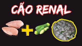 Como Preparar a Alimentação do Cão com Problema Renal?