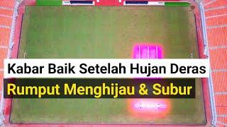 hujan deras membuat rumput jis menghijau & subur pola rumput terlihat jakarta international stadium