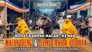 RODAT RAMPAK MACAN KEWAN KEWAN MACAN IRENG & SENI CAKRA BUDAYA || LIVE KRANDAN KEBONREJO SALAMAN MGL