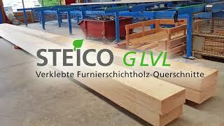 STEICO Dach+Holz 2018 Rückblick