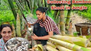 Cooking Local Fish Curry Recipe || Collecting Bamboo Shoot || Eating