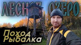 поход на лесное озеро